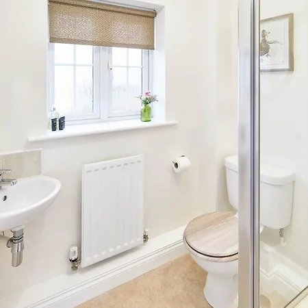 Host & - The Tardis Marske-by-the-Sea